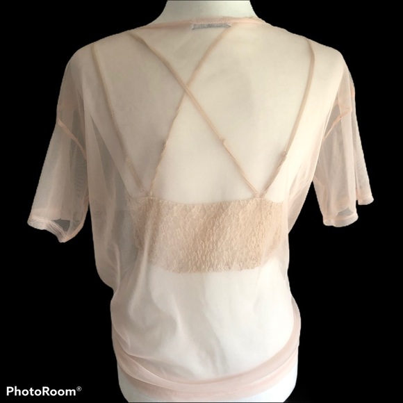 ZARA SHEER EMBROIDERED BLUSH BOXY TSHIRT - Picture 5 of 6